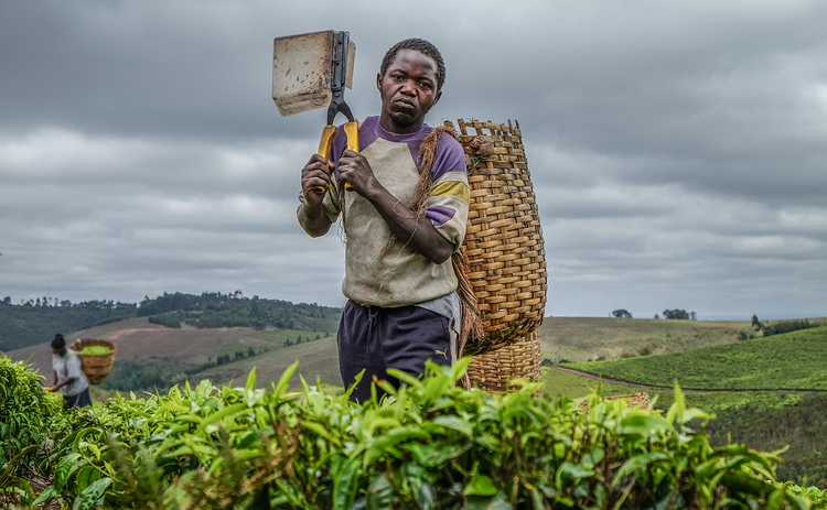 We protect farmers’ interests and rights.